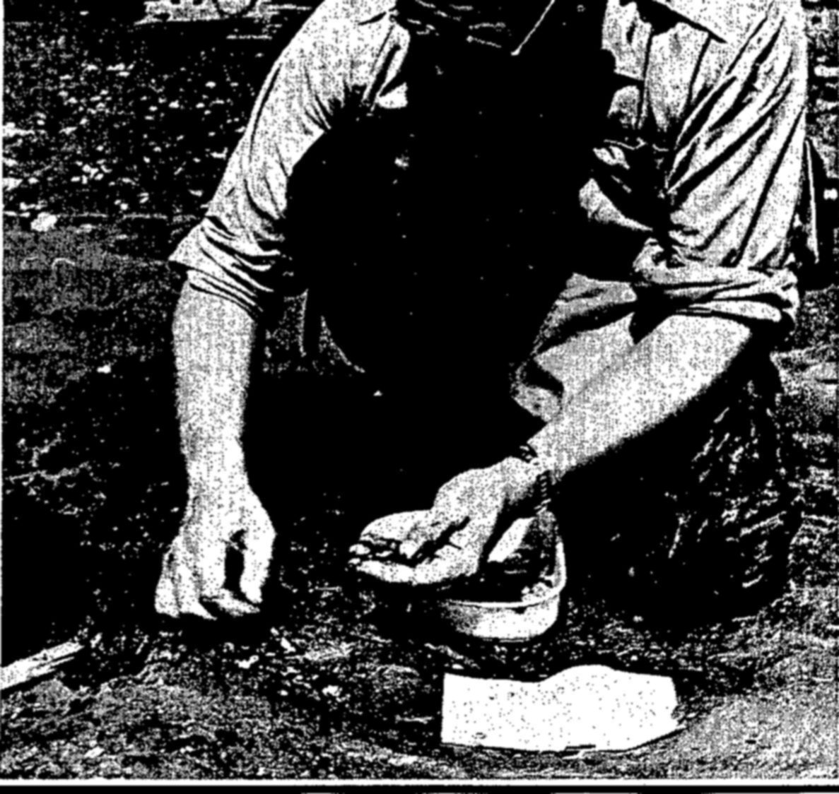Below, right: A biologist investigating the abundance of young clams on the New England coast. — A man in a rolled-sleeve shirt crouches on gravelly ground and sorts small objects in a shallow pan with one hand, with a sheet of paper lying in front of him.