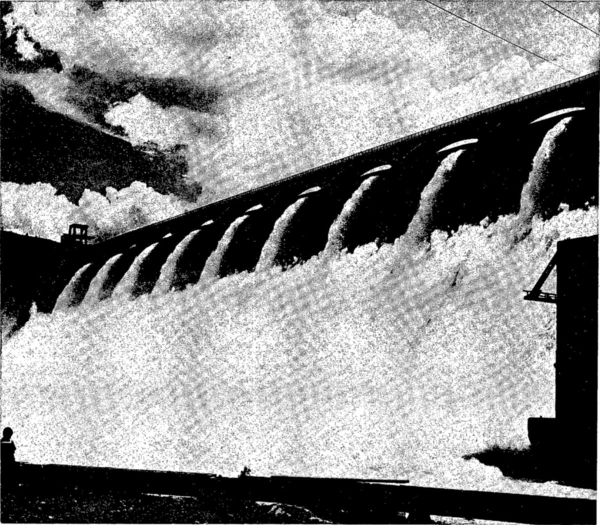 Grand Coulee on the Columbia River, a giant irrigation dam too high to permit construction of fishways. Fish that normally spawned above this dam were transplanted to lower tributaries. — Water pours in a row of curved jets from the face of a concrete dam into a broad field of white foam below, under a cloudy sky.