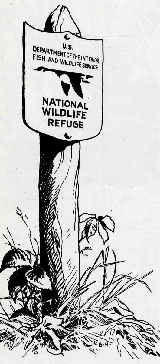 Drawing of a wooden post in grass and weeds, with a sign reading U.S. Department of the Interior, Fish and Wildlife Service, National Wildlife Refuge, and a flying goose emblem above the words.