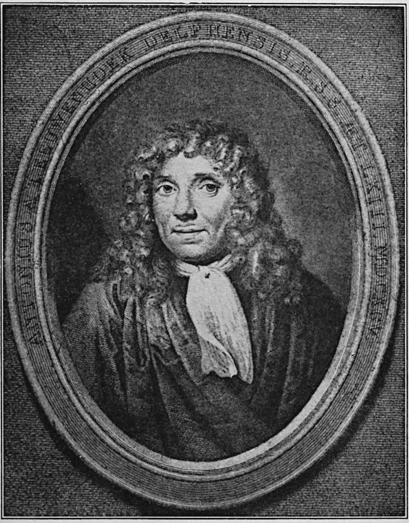 Antony Leeuwenhoek — An engraved portrait inside an oval frame lettered with his name in Latin: long curling hair to the shoulders, a white neckcloth tied loosely at the throat, and a heavy dark coat.