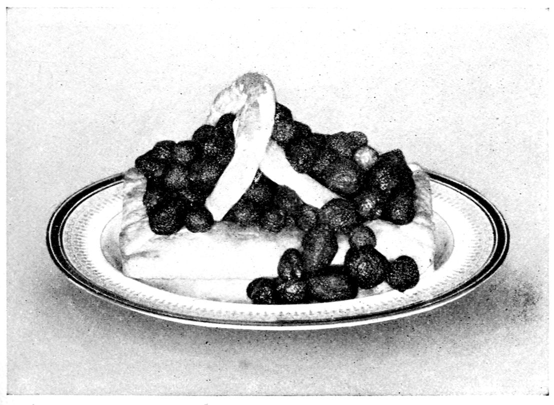 Strawberry Shortcake. — An oblong shortcake on a banded platter, heaped with whole strawberries and crossed by a looped pale ribbon laid over the berries.