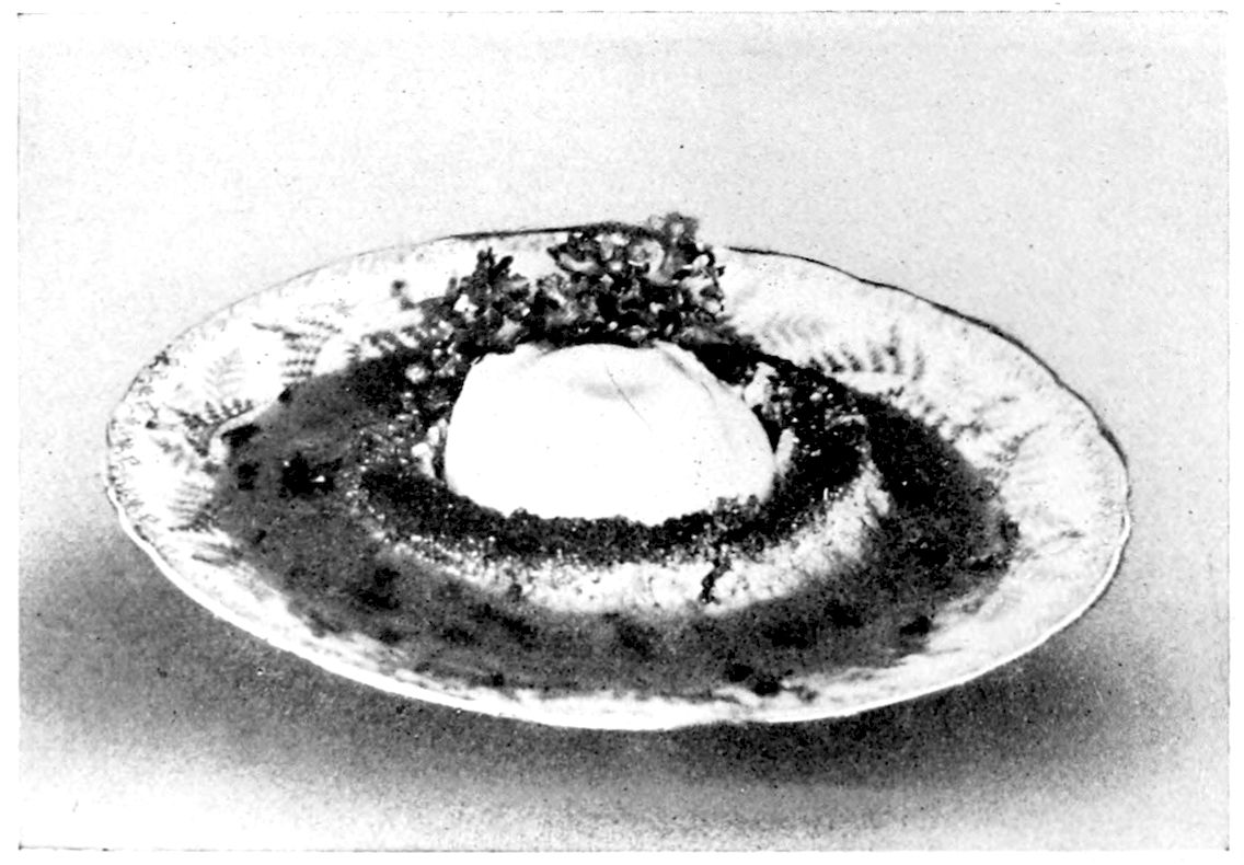 Eggs À la Commodore. — A poached egg sitting on a round of sautéd bread, surrounded by dark sauce flecked with chopped truffles, with a sprig of parsley behind it.