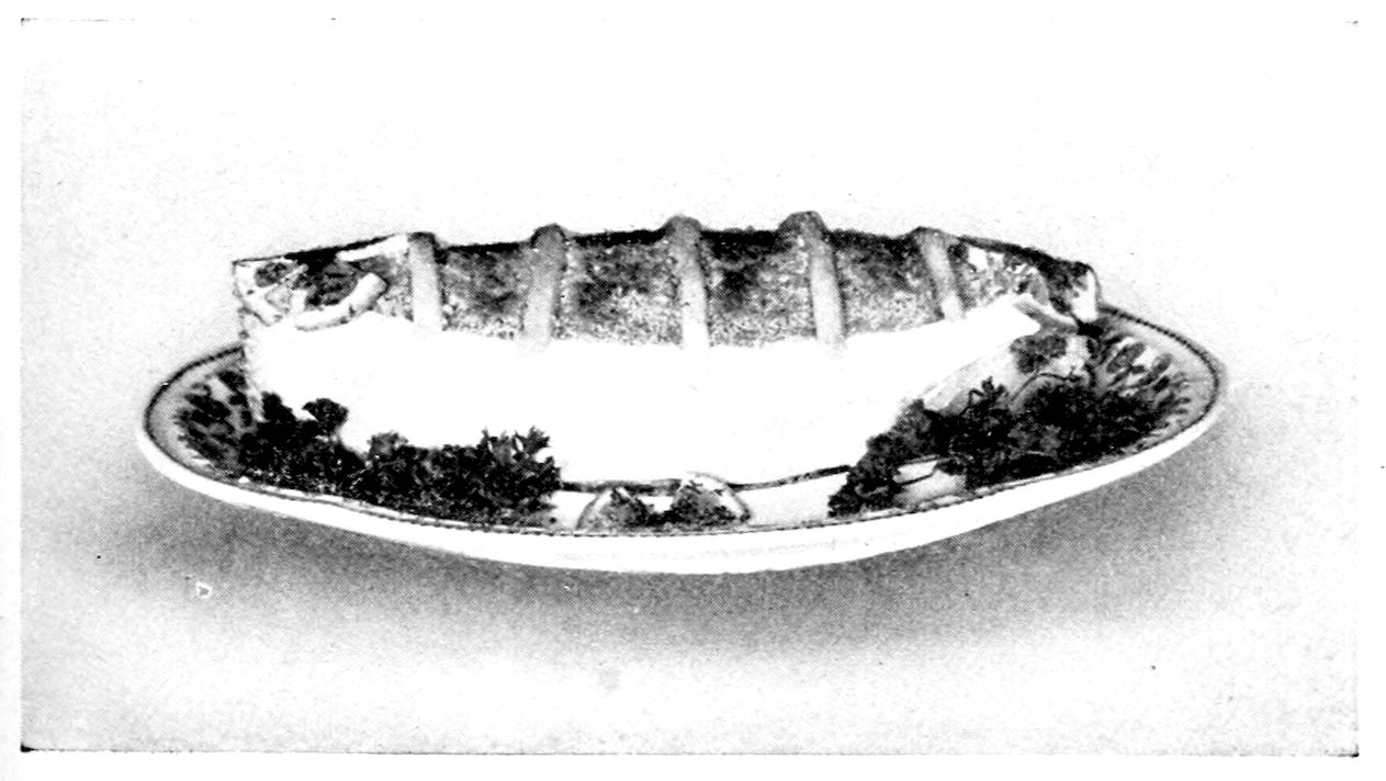 Hollenden Halibut. — A thick piece of halibut on an oval platter, its crust of browned crumbs crossed by strips of salt pork, with parsley heaped at the ends and along the front.