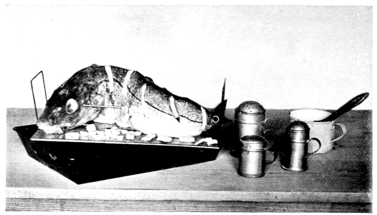 Stuffed Haddock ready for baking. — A stuffed haddock on a fish-sheet in a dripping-pan, held in shape by skewers, its gashes filled with strips of salt pork; beside it stand salt and pepper shakers, a dredger and a cup.