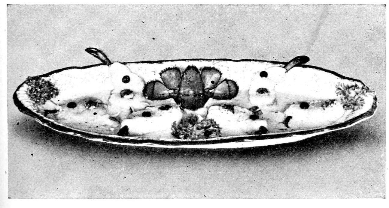 Fillets of Fish à la Bement. — The fillets lie in their sauce along a narrow oval dish, each dotted with truffle, two with a small lobster claw standing up from it, a spread lobster tail at the centre and parsley at the ends.