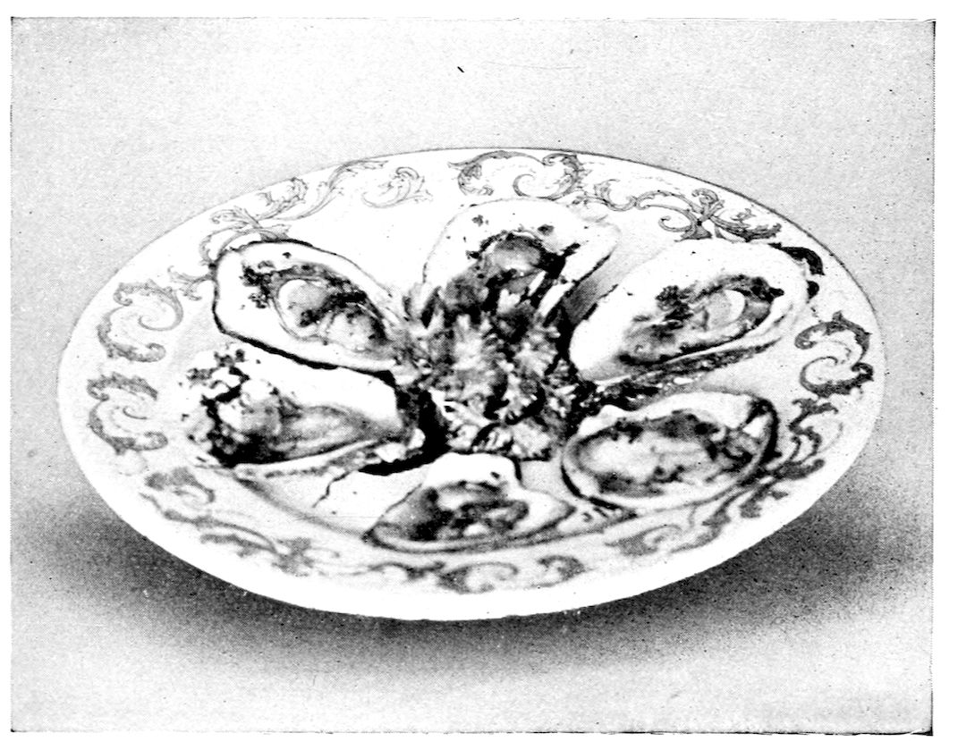 Oysters à la Ballard. — Six baked oysters on the half shell are arranged in a ring round a tuft of parsley on a plate painted with scrollwork, the sauce lying in each shell.