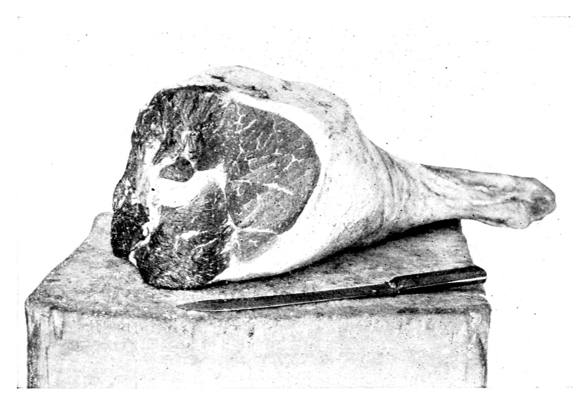 Round of Beef. — A whole round of beef lies on a butcher’s block beside a long knife, the cut face showing the marbled muscles, the round bone and a thick rim of fat, with the shank reaching out to the right.