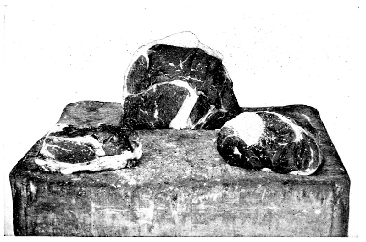 Aitch Bone. Tenderloin of Beef. Cut from hind shin for Soup making. — Three raw cuts on a butcher’s block: a flat slab at the left, a large piece standing on edge with a curved band of fat and bone in the middle, and a thick rounded piece at the right.