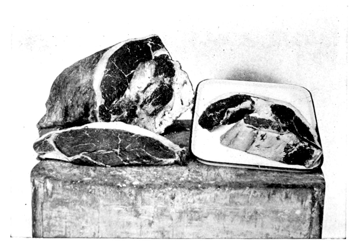 Rump. Porter House Steak. First slice from cross-cut of rump. — On a butcher’s block, a large rump piece stands at the back with a thick flat steak lying before it, and at the right a steak with its bone shows on a white platter.
