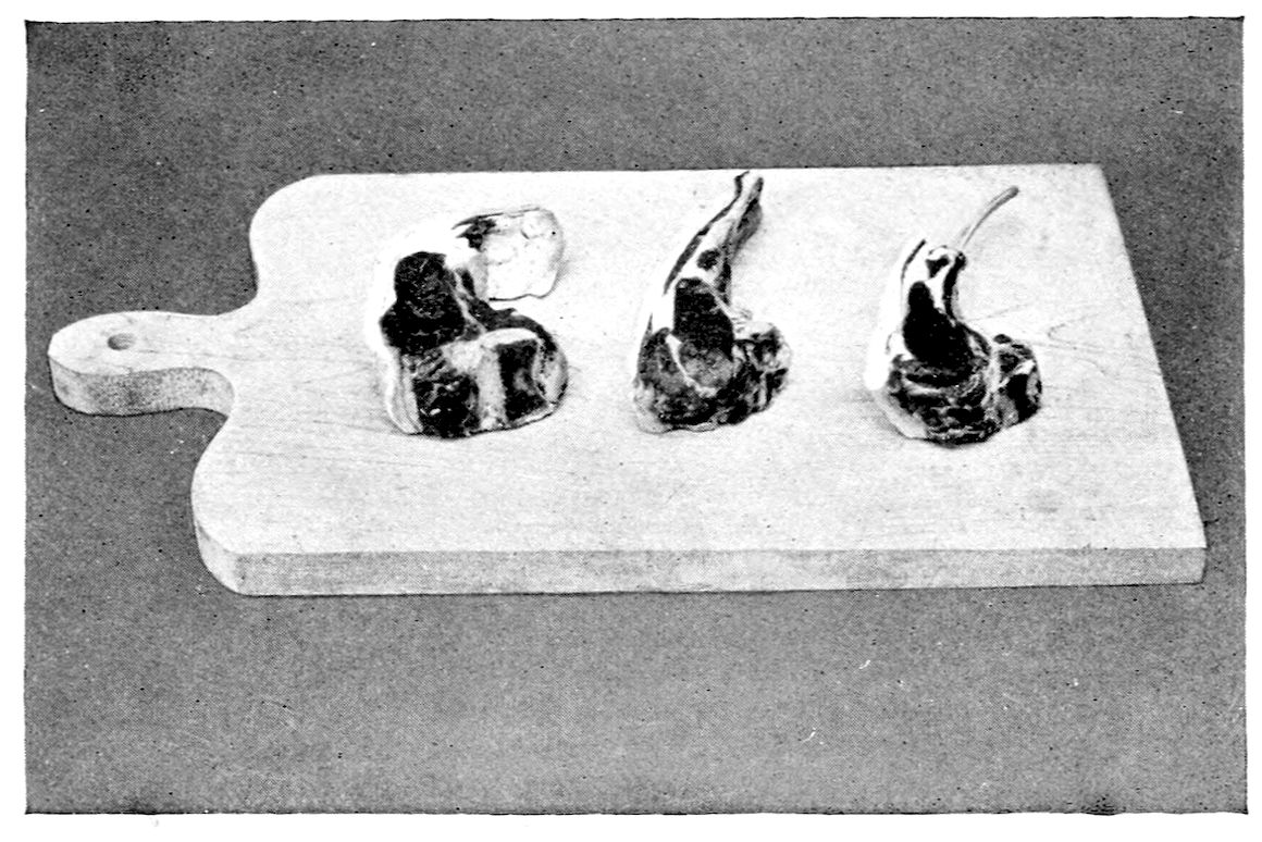 Kidney Lamb Chop; Rib Chop; French Chop. — Three raw chops on a wooden board: at the left a thick loin chop with the kidney tucked in, in the middle a rib chop, and at the right a French chop with its bone scraped bare.