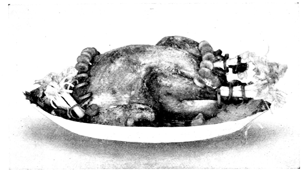 Roast Turkey garnished for serving. — The roast turkey sits breast up on a long platter, with wired strings of carrot rings and discs looped over it at both ends and curled celery and greens at the tail and neck.