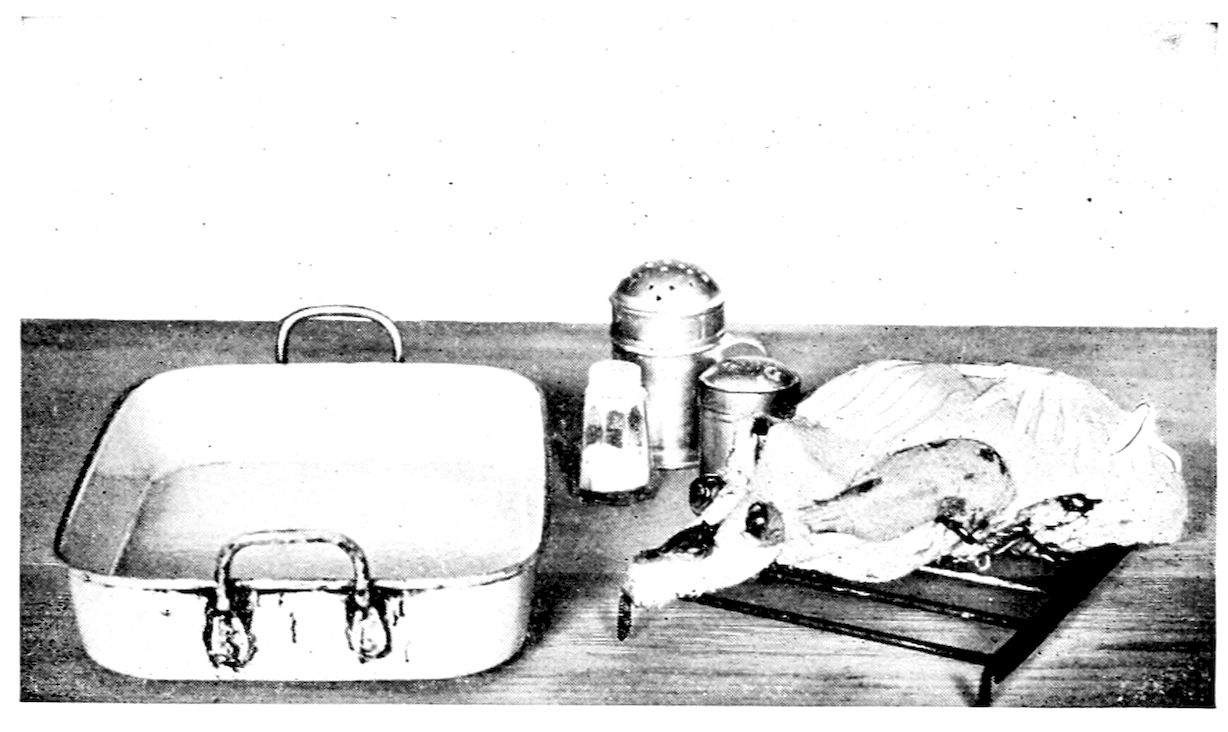 Duck stuffed and trussed for roasting. — The trussed duck rests on a wire rack on a cloth beside a square dripping-pan with two handles, a dredger and salt and pepper shakers standing between them.