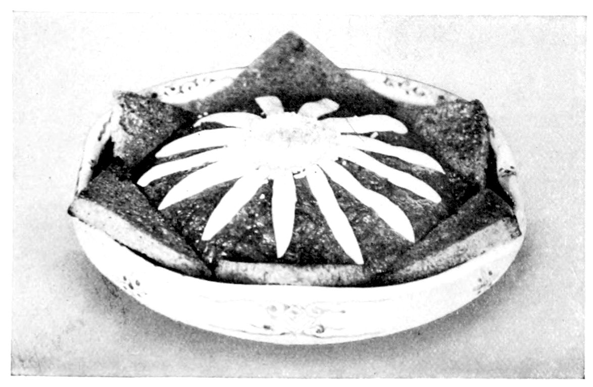 Purée of Spinach. — The purée is mounded in a round dish, edged with triangles of fried bread standing out like the points of a star, with strips of egg white laid over it like daisy petals round a centre of sieved yolk.