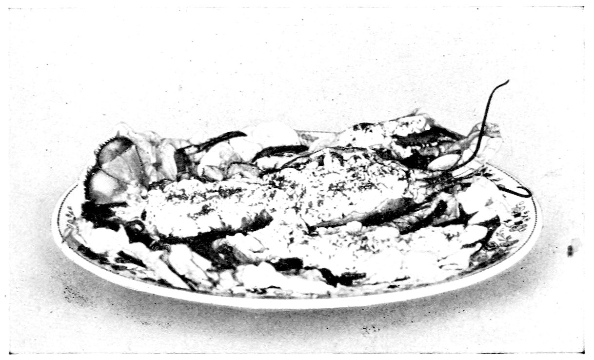 Lobster Salad III. — A split lobster shell refilled with salad lies on a bed of lettuce on a flowered platter, its stuffed claws and long feelers still in place and its surface speckled with the coral dressing.