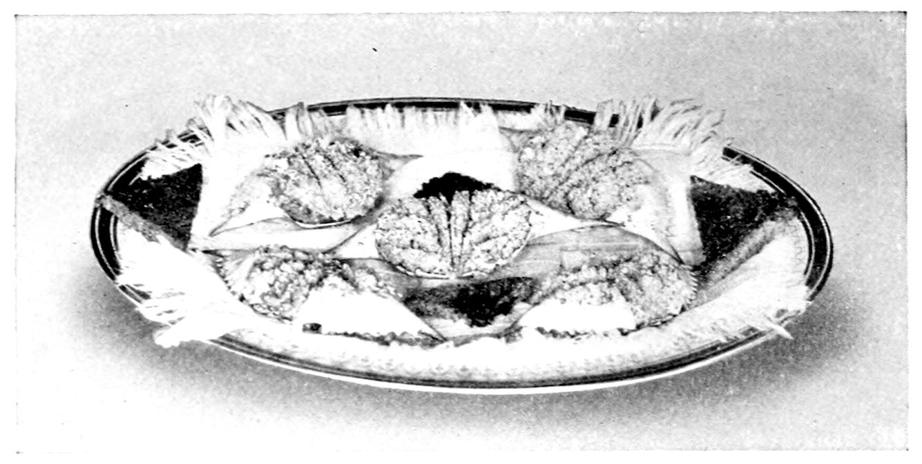 Devilled Crabs. — Crab shells filled rounding and scored across the crumbed top stand around an oval platter, with long leaves and fringed white garnish tucked between them.