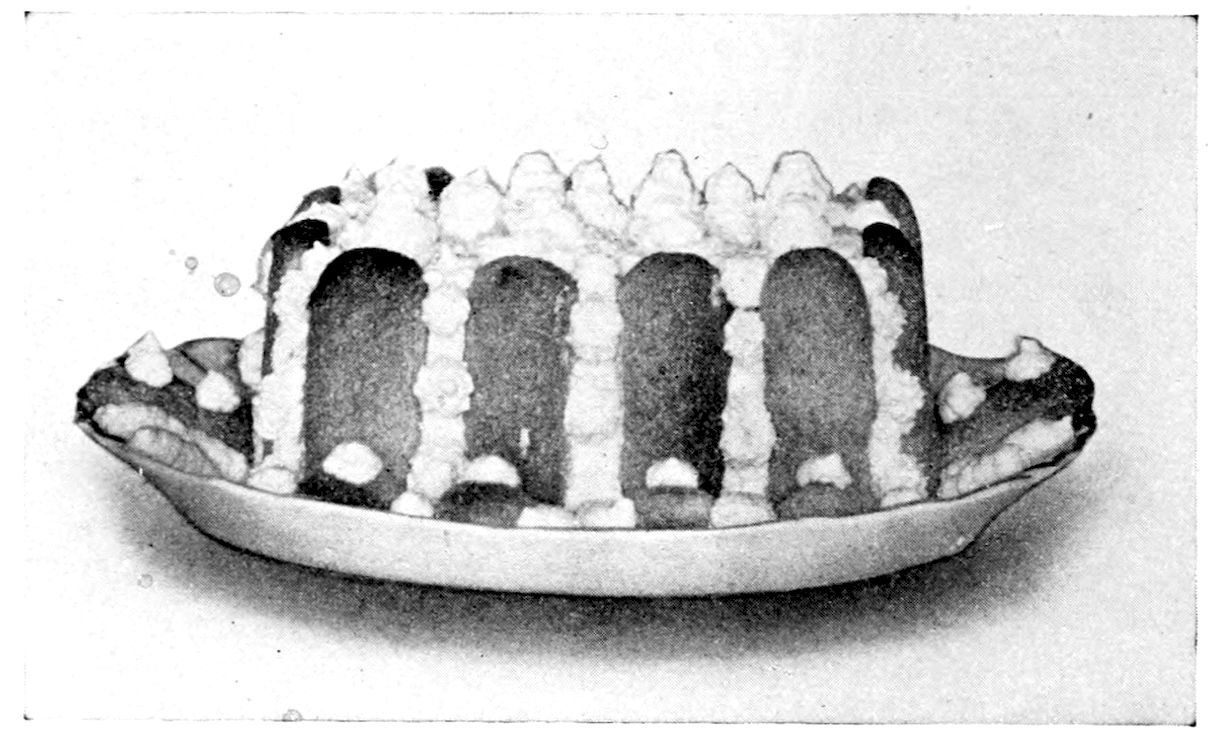 Charlotte Russe. — A tall mould ringed with upright lady fingers, each divided from the next by piped whipped cream that crowns the top in points, with more lady fingers laid around the base on an oval dish.