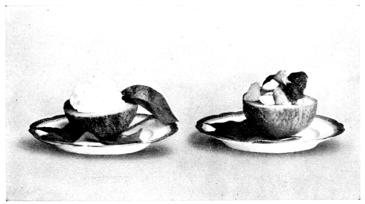 Coffee Ice Cream served in half of Cantaloupe. Vanilla Ice Cream served in half of Cantaloupe with Fruit Garnish. — Two cantaloupe halves on small plates: the left holding a mound of ice cream, with a leaf tucked at its side, and the right heaped with cut pieces of fruit.