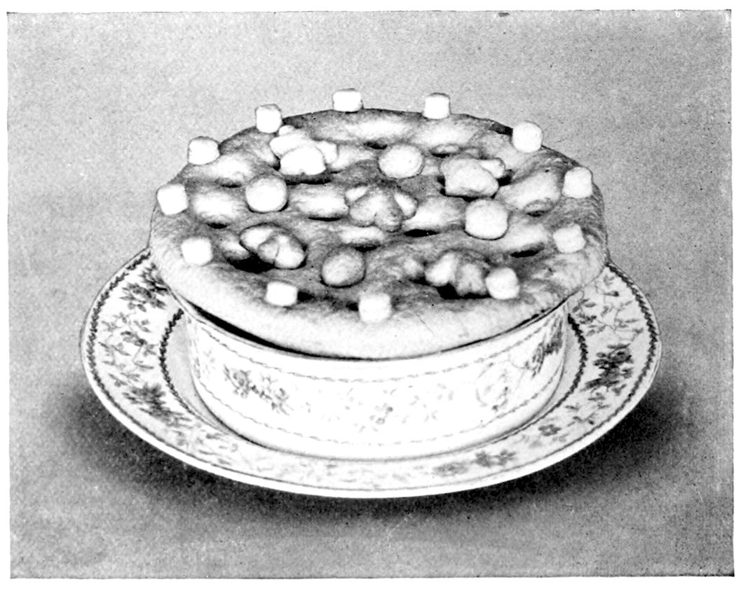 English Meat Pie. — A pie in a deep round china dish with a flowered pattern, set on a matching plate, its puff-paste top dotted with small cubes, balls and leaf-shaped cut-outs of pastry.