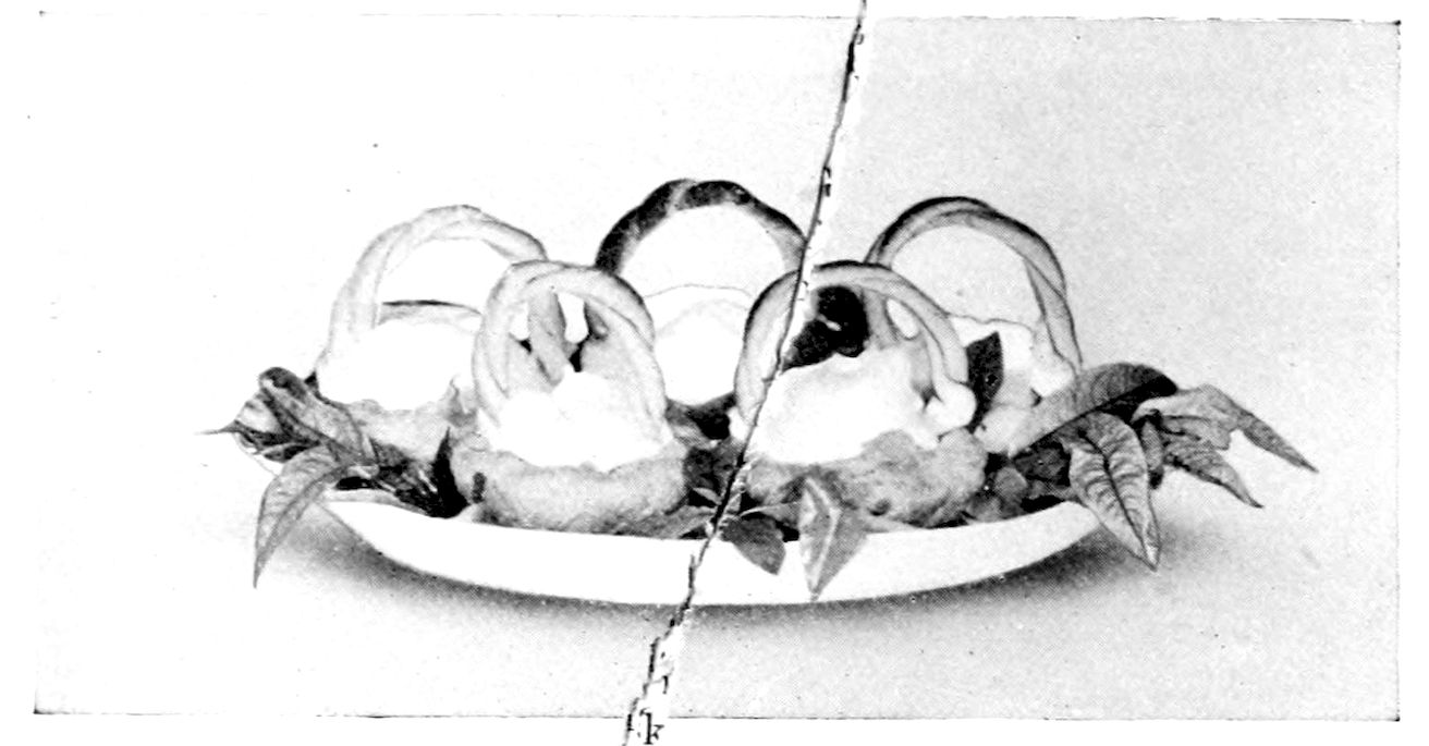 Fruit Baskets. — Four round pastry cases with twisted pastry handles, like little baskets, filled with fruit and whipped cream and set on an oval dish among peach leaves.