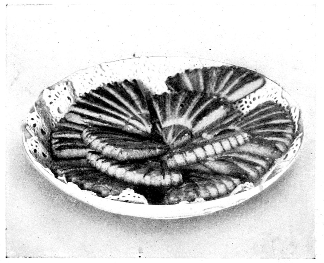 Royal Fans. — Quarter-rounds of pastry, each creased with ridges like the folds of a fan and glazed dark, lie overlapping in a ring on a lace paper doily in a round dish.