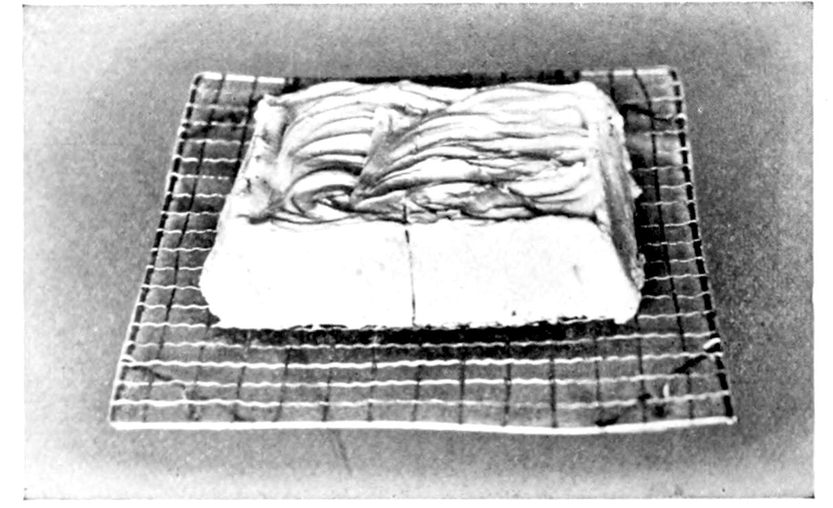 Ice Cream Cake with Nut Caramel Frosting. — A square cake stands on a wire cake cooler, its top spread with the frosting in rough, sweeping ridges.