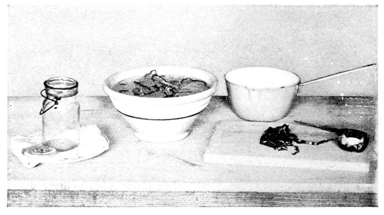 Red Peppers being prepared for canning. — A bowl of red pepper strips in water, a saucepan, and an empty wire-clamped glass jar on a saucer; on a board lies a pepper with its stem end cut away beside a pile of strips and a knife.