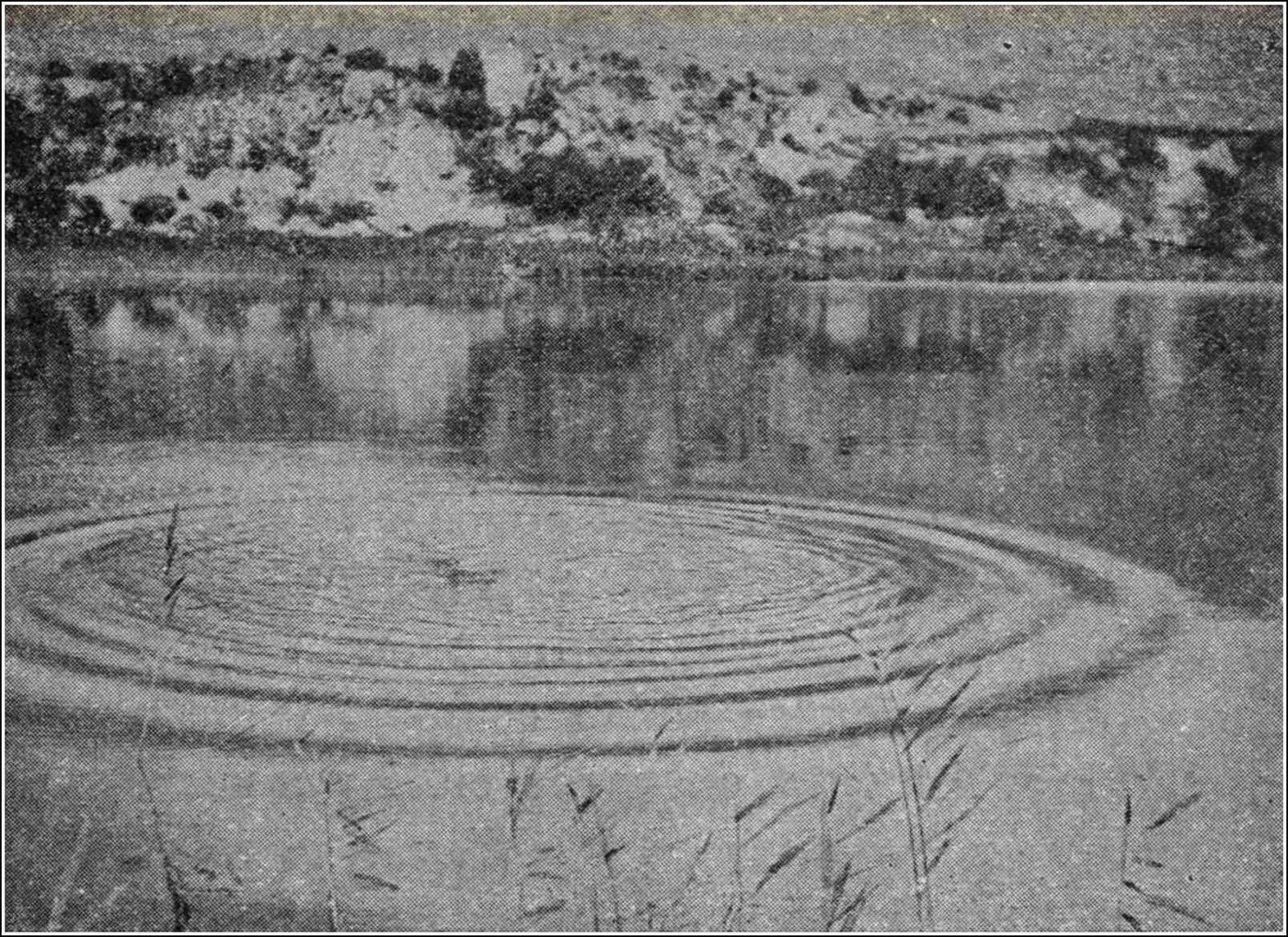 A photograph of the expanding wave-train made by a stone thrown into still water: a circular band of ripples, growing outwards and multiplying as it goes, with ripples being born at its inner edge and dying at its outer one.