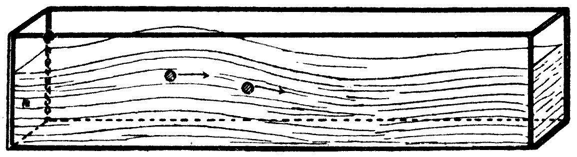 A long glass-sided tank with bran floating in the water. A wave started by a paddle at one end runs to and fro along the tank, reflected at each end; the bran shows that the water swings horizontally rather than up and down.
