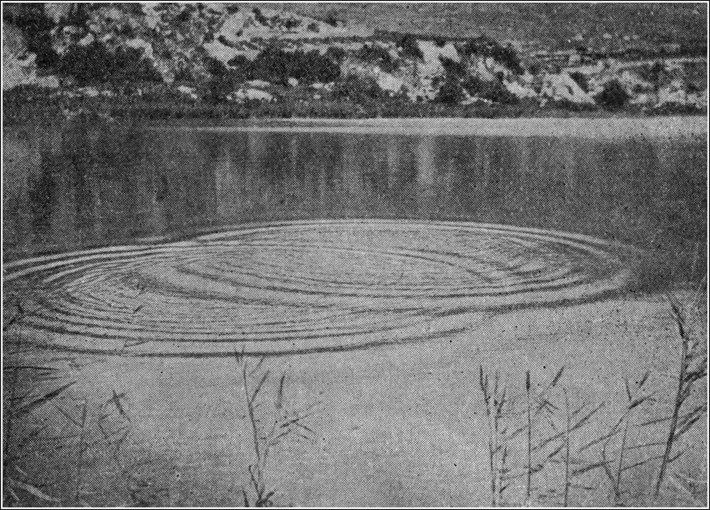 Two sets of circular ripples, from two stones thrown in a little way apart, passing freely through one another — with places where the disturbance is doubled and places where it disappears altogether.