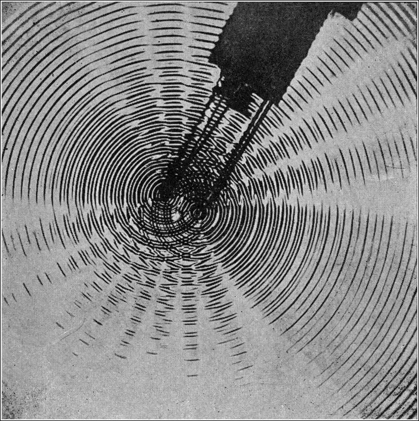 The shadow pattern of two interfering sets of ripples, with the white lines along which the waves are annulled tracing out hyperbolic curves.