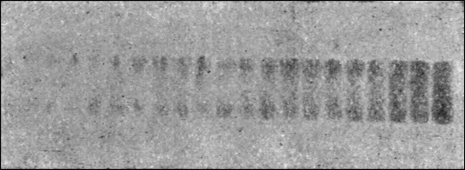 A photograph of an oscillatory electric spark, caught on a film strip bound round the rim of a fast-spinning wheel. A steady spark would have drawn one broad band; instead the wheel has spread the discharge out into a row of separate images — the spark going first one way and then the other.