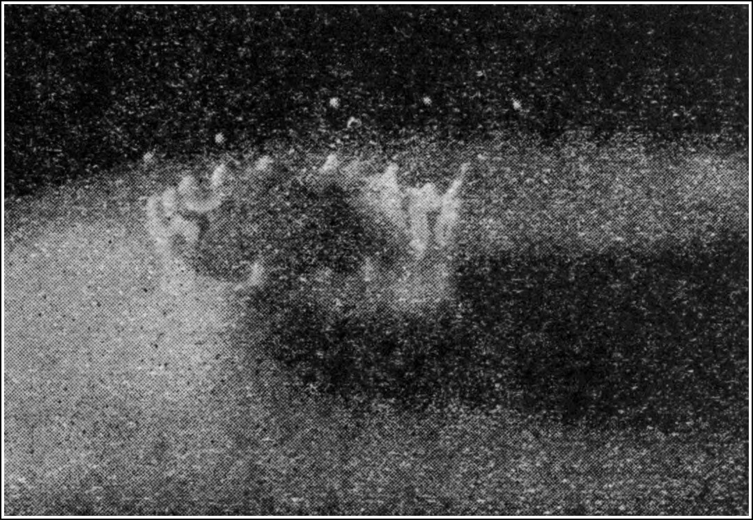 Worthington's photograph of a drop just entering milk, taken by the light of an electric spark 0.0262 second after contact.