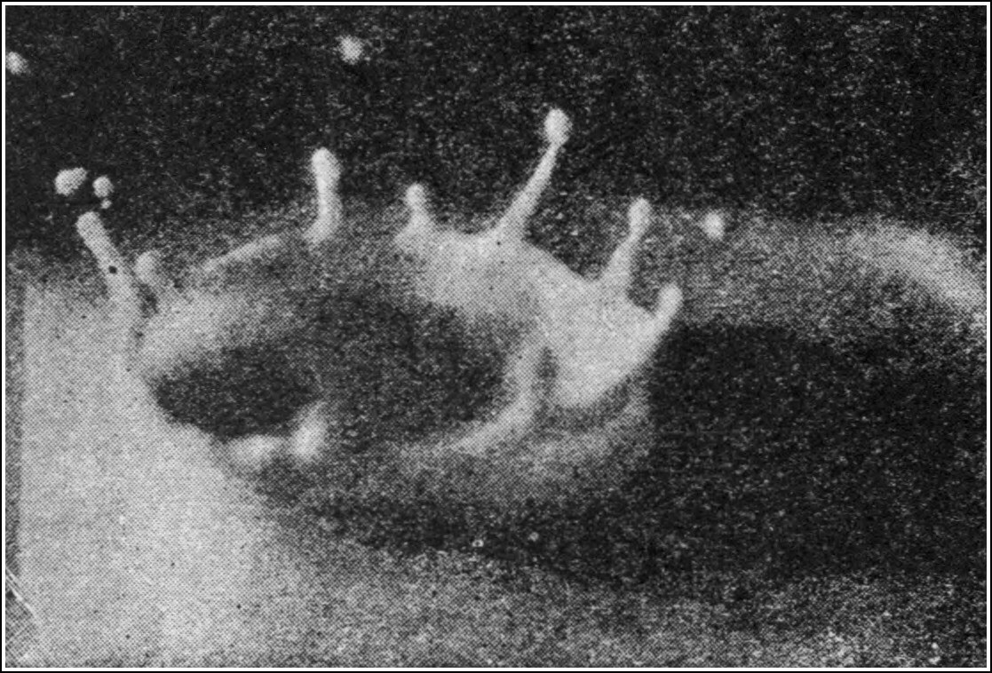 The same splash 0.0391 second after contact. The drop has plunged in and left behind it a cavity — a hole in the liquid.