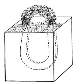 An arch of iron filings, standing up over a magnet like an iron bridge. Off the magnet, the same filings lie loose and show no attraction for one another at all.