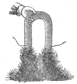 The electromagnet with a bridge of iron nails clinging to it, so hard that they can scarcely be moved by hand — and falling in a heap the moment the contact is broken.