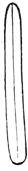87. Linear. — Outline of a narrow leaf many times longer than wide, of about the same width from base to rounded tip, with a single midrib.