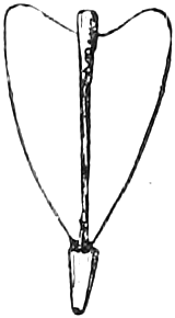 292. Pod (silicle or pouch) of Shepherd's-Purse. — The flat, heart-shaped pouch of Shepherd's-Purse, broad at the top and narrowed to its short stalk, with the style standing in the notch.