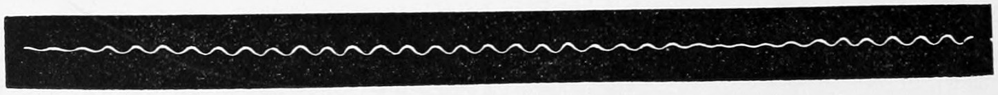Fig. 6. — A long black strip, the smoked paper of the phonautograph, with a fine white wavy line traced along it by a vibrating fork.