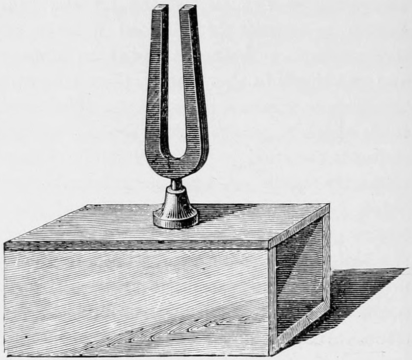 Fig. 13. — A tuning-fork standing on its stem on top of an open-ended wooden sounding box, drawn in perspective with the grain of the wood and a shadow to the right.