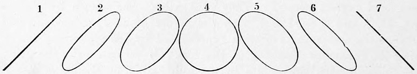Fig. 34. — Seven curves in a row, numbered 1 to 7: an oblique straight line, two ellipses leaning the same way, a circle, two ellipses leaning the other way, and a straight line sloping opposite to the first.