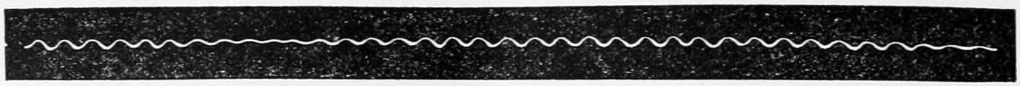 Fig. 58. — A long black band with a thin white wavy line running along it, the waves swelling large and dwindling almost to a straight line in turn: the trace a phonautograph membrane drew of two beating organ pipes.
