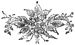 A decorative tailpiece: a spray of leaves, berries and tendrils.