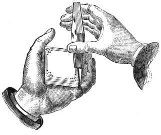 Fig. 23. — The right hand draws the upper packet smartly upwards between thumb and second finger, while the moistened left fingers hold back its top card to fold down onto the lower packet.