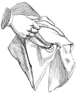 Fig. 78. — The right hand lifting the outer edge of the handkerchief to show the coin, still held by its edge through the fabric.