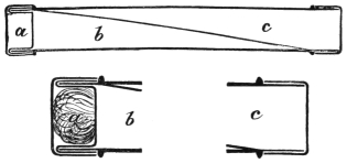 Fig. 112. Fig. 113. — Above, a section of the whole plume tube, the diagonal division separating compartments b and c, with the inner cap a at the left end. Below, the two ends enlarged: left, the double cap holding the short end of feather a; right, the plain cap over compartment c.