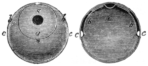 Figs. 137, 138. — The hollow cannon-ball. Left, Fig. 137: the outside, with the circular sliding door a and its inch-wide finger hole. Right, Fig. 138: a section showing the curved arms b b on which the door swings, pivoted at c c on opposite sides.