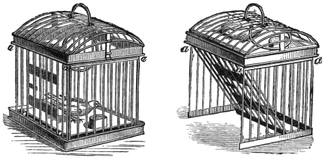 Fig. 146. Fig. 147. — Left, Fig. 146: the folding birdcage set up, with a canary inside and the side hinges marked a a a a. Right, Fig. 147: the bottom pushed up inside the cage, the hinged sides swinging free ready to be folded down upon it.