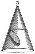 Fig. 164. — One of the rice cones, drawn as if transparent to show the hinged flap halfway down, here dropped open.