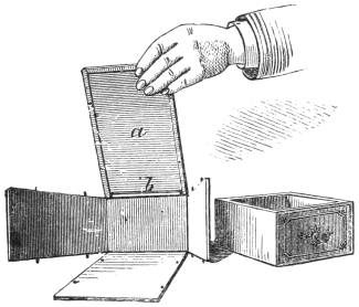 Fig. 177. — The dissecting drawer-box taken apart: its hinged sides and bottom laid open flat, the drawer standing beside them, and a hand lifting the top to show the slab a and the bead b beneath it.