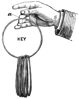 Fig. 239. — The key ring held with the opening a under the thumb, and a bunch of seven rings hanging together from its lower edge.